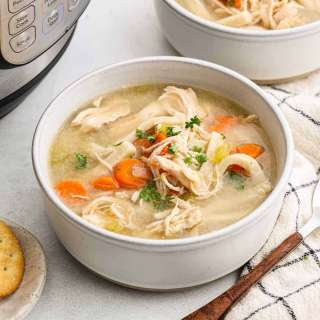 Instant Pot Chicken Noodle Soup