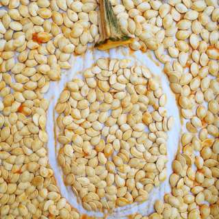 Roasted Winter Squash Seeds