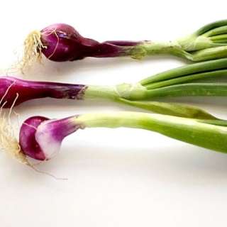 Spring Onion Tart