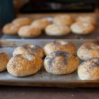 Honey Whole-Wheat Bagels
