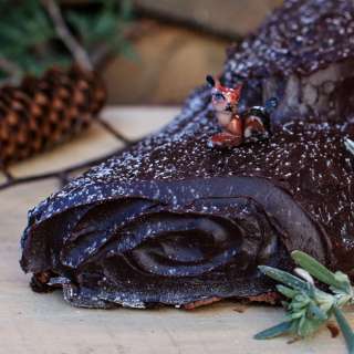 Chocolate Hazelnut Roll {Yule Log}