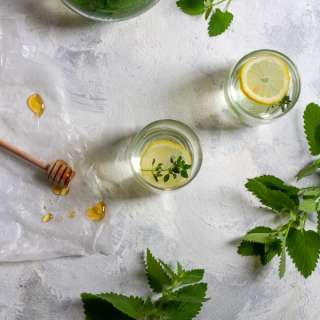 Catnip Tea