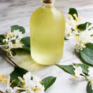 Honeysuckle Simple Syrup