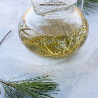 Pine Needle Tea