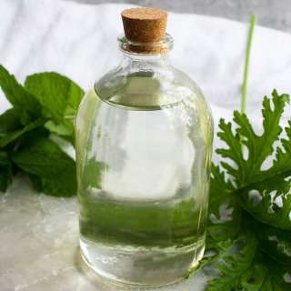 Citronella Plant Simple Syrup