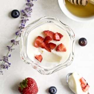 Kefir Panna Cotta Italian Recipe (Easy)