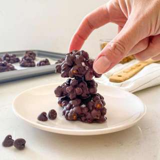 Chocolate Covered Chickpeas