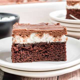 Mississippi Mud Cake Recipe