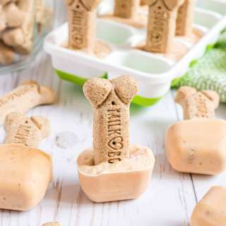 Dog Ice Cream Recipe