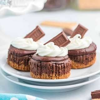Mini S'more Cheesecakes