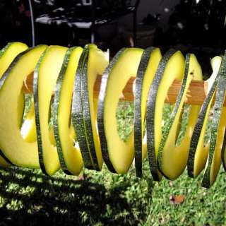 Dehydrating Zucchini