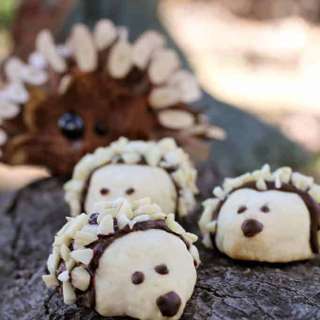 Hedgehog Cookies...Almost Too Cute to Eat!