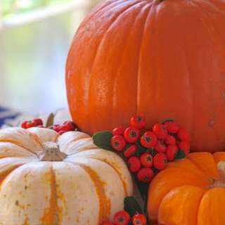 How to Prepare a Pumpkin (How to Cook, Bake or Roast a Pumpkin)