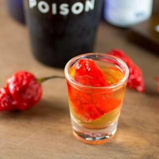 Scorpion Tongue Vodka Shot Recipe