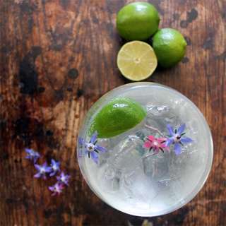 Classic Gin Rickey Cocktail