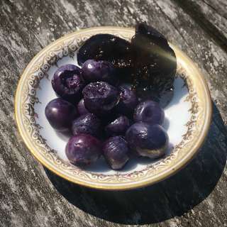 Lacto-Fermented Blueberries