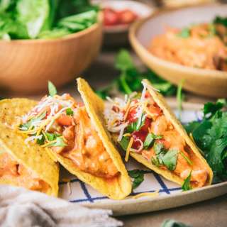 Creamy Crock Pot Salsa Chicken