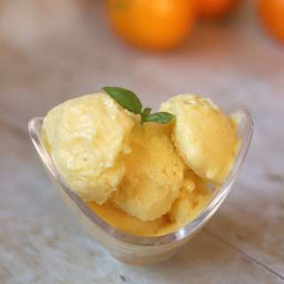 Orange Frozen Yogurt