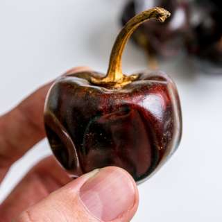 Cascabel Chile Salsa