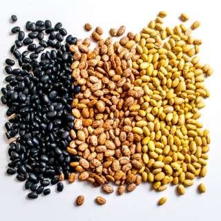 Beans, Beans, Beans -- Frijoles de Olla