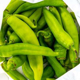 Roasted Hatch Chile Salsa
