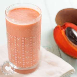 Batida de Zapote [Video + Recipe] Mamey Shake