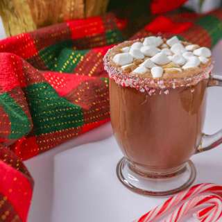 Homemade Peppermint Hot Chocolate (Dairy-Free)