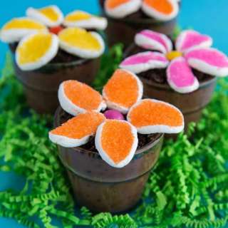 Easy Flower Pot Pudding Dirt Cups