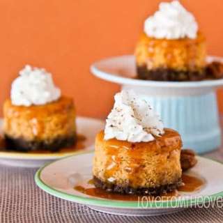 Mini Pumpkin Cheesecakes With Gingersnap Crust