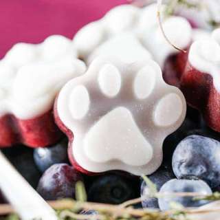 Frozen Dog Treats