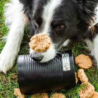 Dog Cookie Recipe