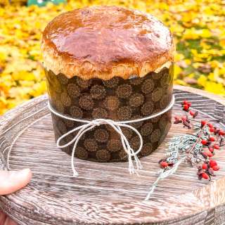 No Knead Chocolate Chip Panettone