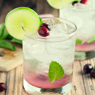 Cranberry Mojito