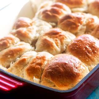 Best Dinner Rolls Recipe