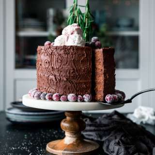 Vegan Double Chocolate Tree Stump Cake with Sugared Cranberries
