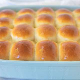 Homemade Dinner Rolls