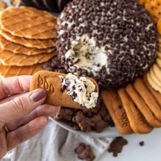 Chocolate Chip Cheese Ball