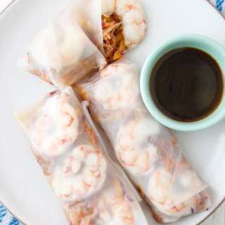 Asian Slaw Spring Rolls
