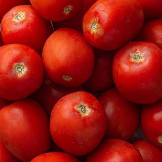 How to Peel Tomatoes