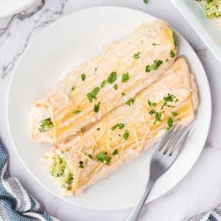 Chicken Broccoli Alfredo Manicotti