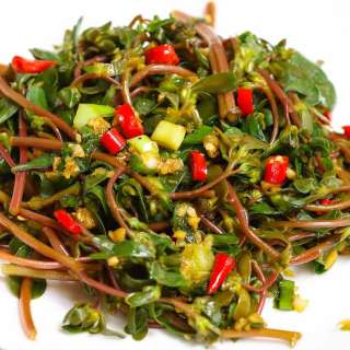 Purslane Salad Recipe (+VIDEO)