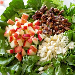 Apple and Pecan Salad