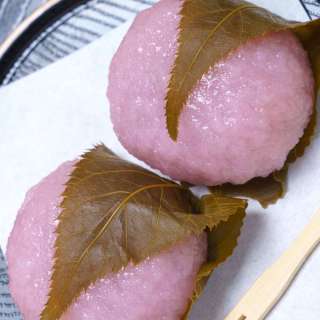 Cherry Blossom Sakura Mochi