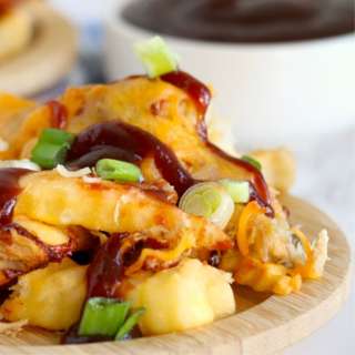 Pulled Pork Fries