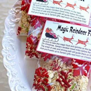 Magic Reindeer Food