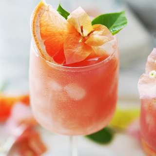 Best Paloma Recipe