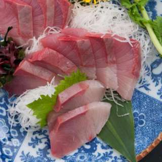 Yellowtail Sashimi Recipe