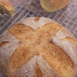 Easy Bread with Cornmeal