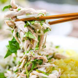 Vietnamese Chicken Salad (Gà Bóp)