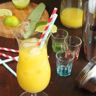 Copycat Cactus Coolers
